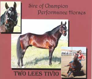 Two Lees Tivio