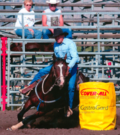 AQHA 4181443
